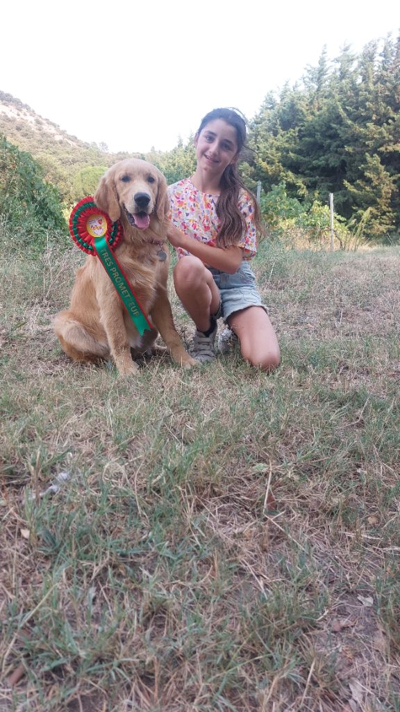 Arcane pink ranger De L'Orégon De Romance