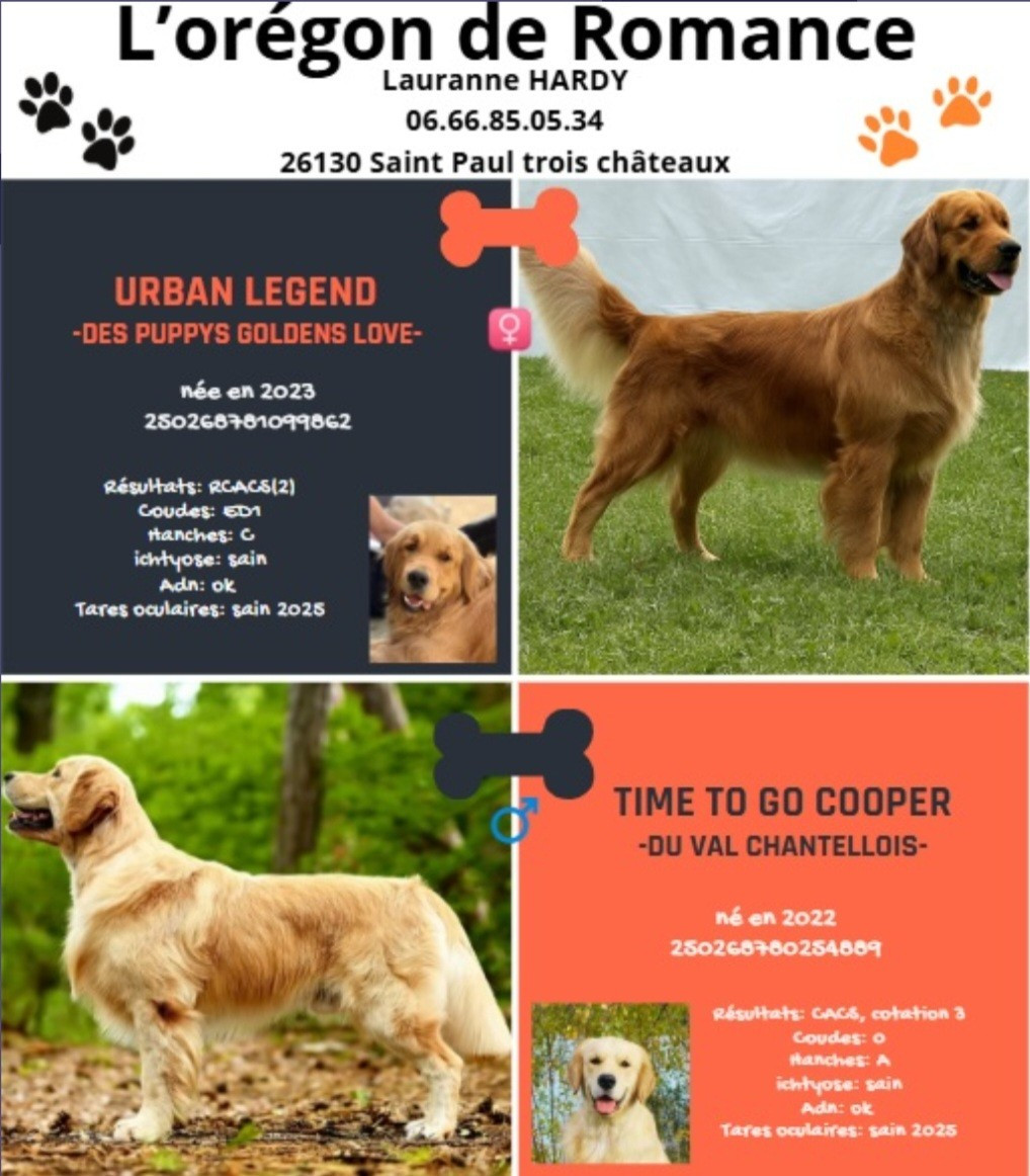 Naissance le 9/01/26 (2 femelles et 8 mâles)